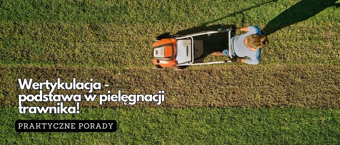 Czym jest wertykulacja i dlaczego warto ją robić?